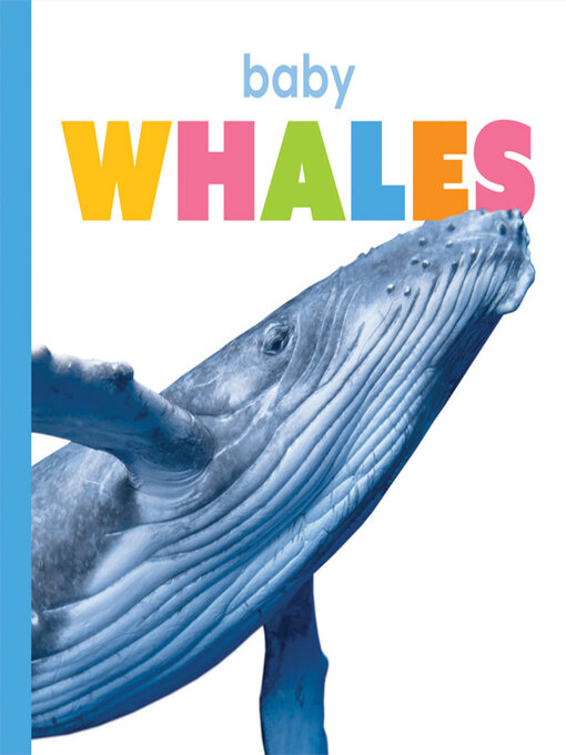 Title details for Baby Whales by Kate Riggs - Available